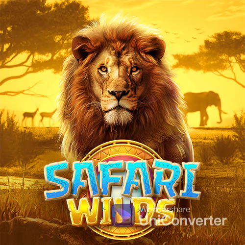 safariwilds
