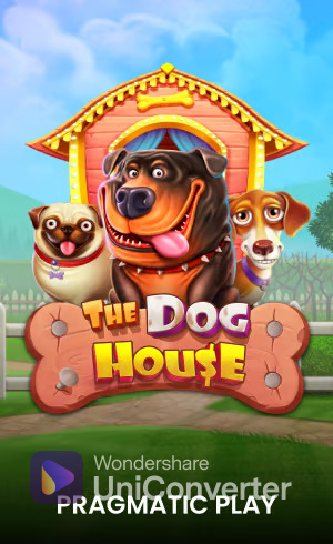 thedoghouse