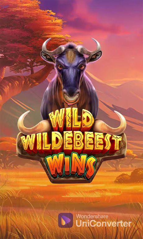 wildwilddebeestwins