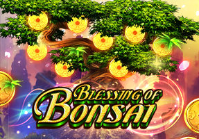blessingofbonsai