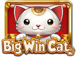 bigwincat