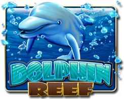 dolphinreef