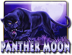 panthermoon