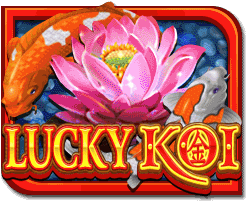 luckykoi