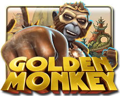 goldenmonkey